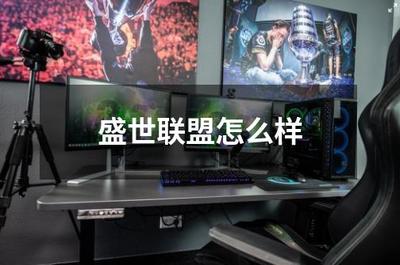 盛世聯盟 打造專業互聯網游戲服務的領航者